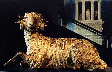 MYT-Golden_Fleece.jpg (17035 bytes)