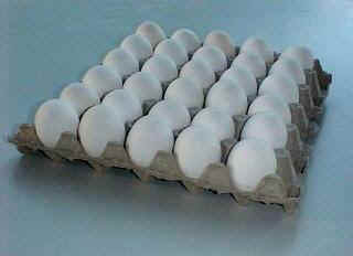 Bandeja Blanco 30 huevos