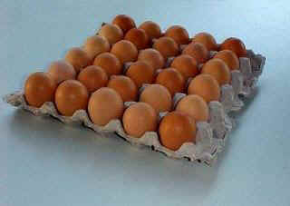 Bandeja Color 30 huevos