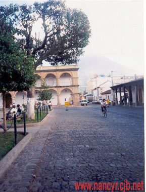 Street at Central Park