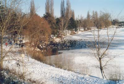 Floridsdorfer Wasserpark