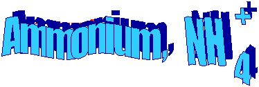 Ammonium - NH4+