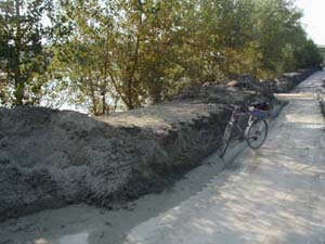 Sand-Ablagerung nach dem Hochwasser 2002