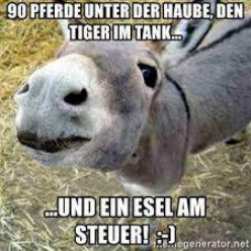 [ein grauer Esel am Steuer]