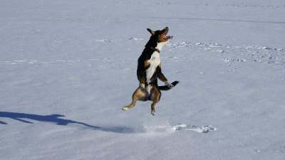 [Luftspr�nge in der Einsamkeit]