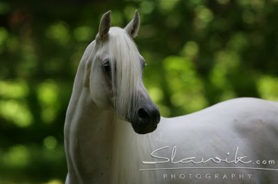 copyrights Christiane Slawik
