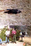 1st turkey of 1977.jpg (86085 bytes)