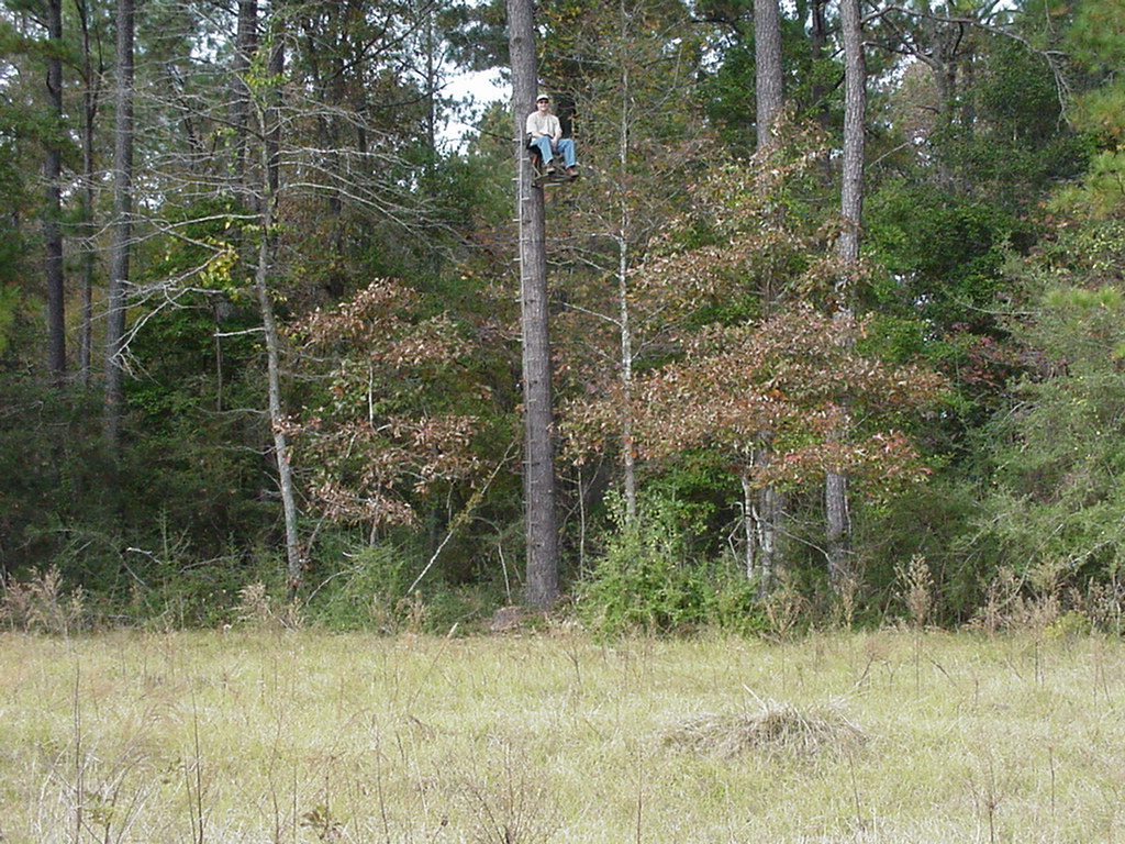 Cotton Patch