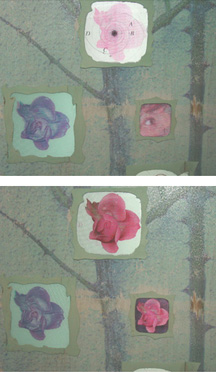 Heather Lowe
A Rose Is a Rose
lenticular
11 x 14"