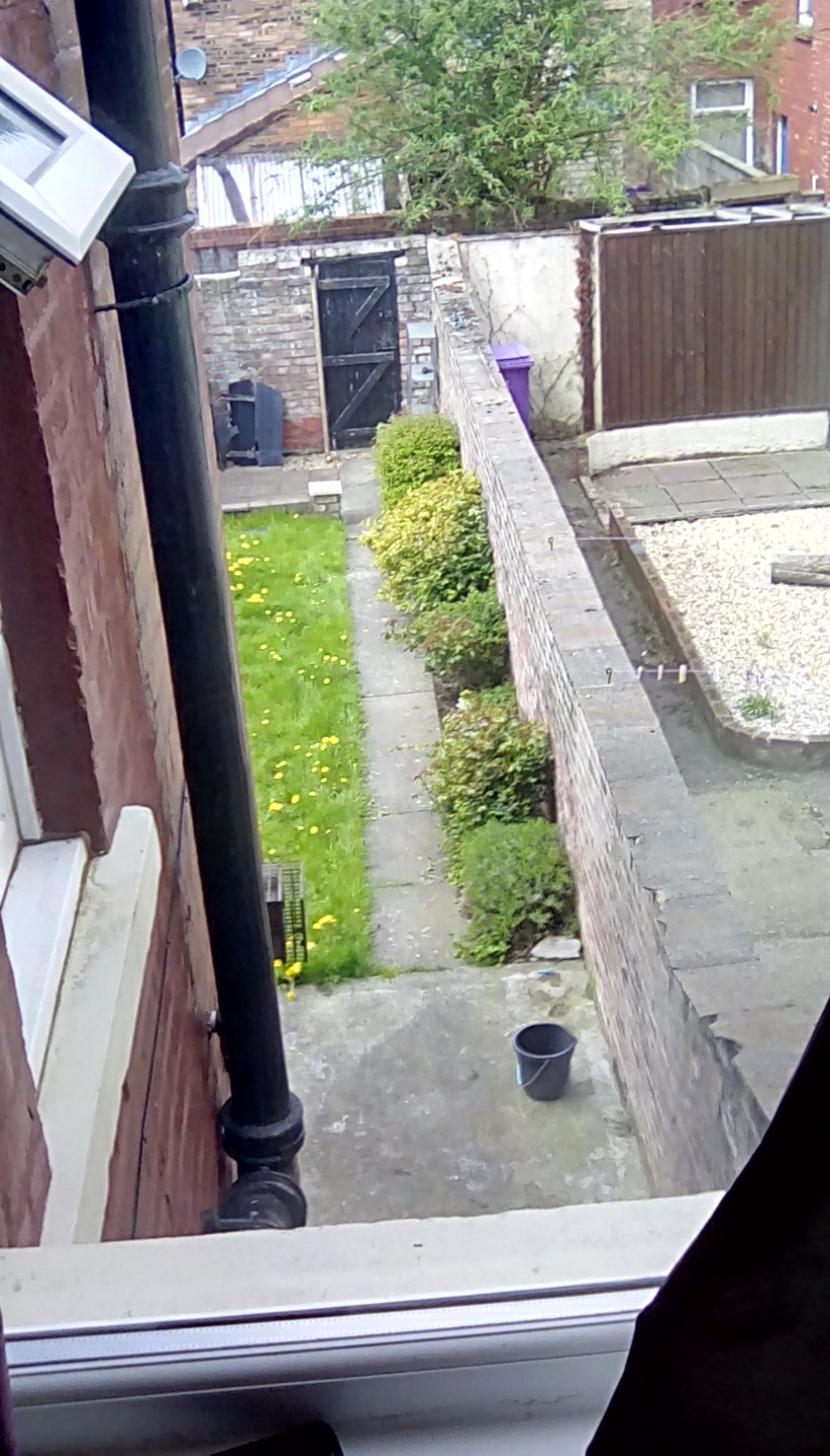 peepr look out of window