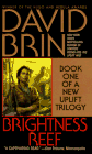  Brightness Reef  by  David Brin 