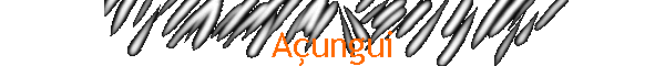 A�ungui