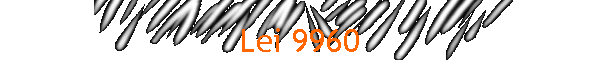 Lei 9960
