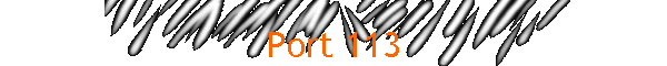 Port 113