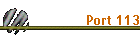 Port 113