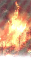 fire03.jpeg (46602 bytes)