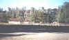 irati14.jpeg (89936 bytes)