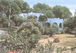 A view of the 'backyard'