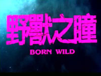 Two Degrees: Born Wild