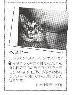 �g�C���ŎB�����ʐ^�E�E�E