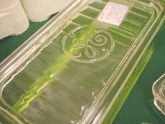 こんな景品があったとは!