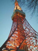 真下から見上げたのは初めてでした・・・