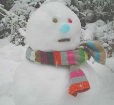高さ1m弱の“困ったちゃん”だるま?