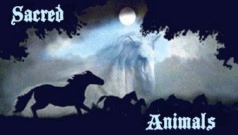 Sacred Animals