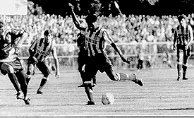 Donato