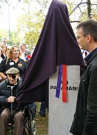 Bob Doyle doing the unveiling, 13th October 2007.
