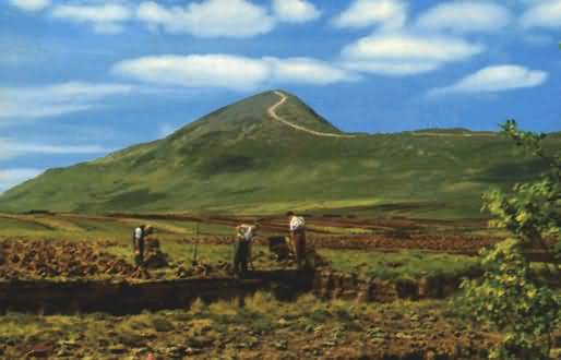 Old Ireland picture of turf cutting in Mayo, with Croach Patrick mountain in background