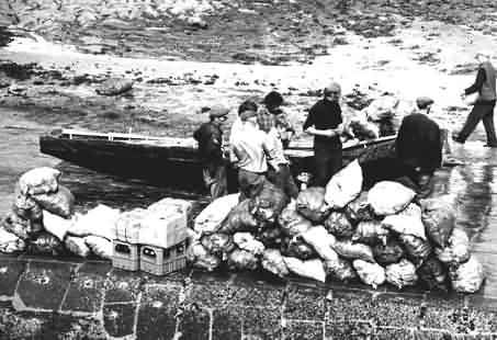 Old irish picture, Inismaan - Aran islanders, unloading a currach boat