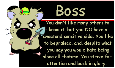 I'm Boss!