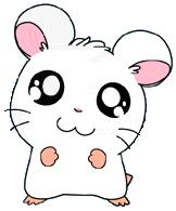 thanks to HHHQ for the template ^_^