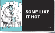 English - Some Like It Hot