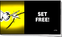 English - Set Free