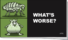 English - What's Worse?