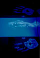 video stills