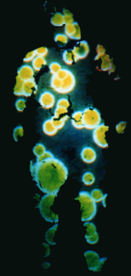 Projection 5