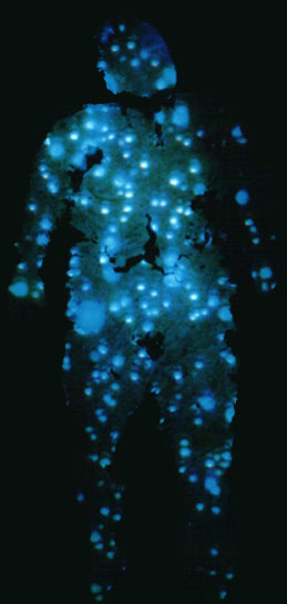 Projection 1, click on for a  short video projection (approx.1Mb)