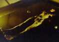 cast into black liquid