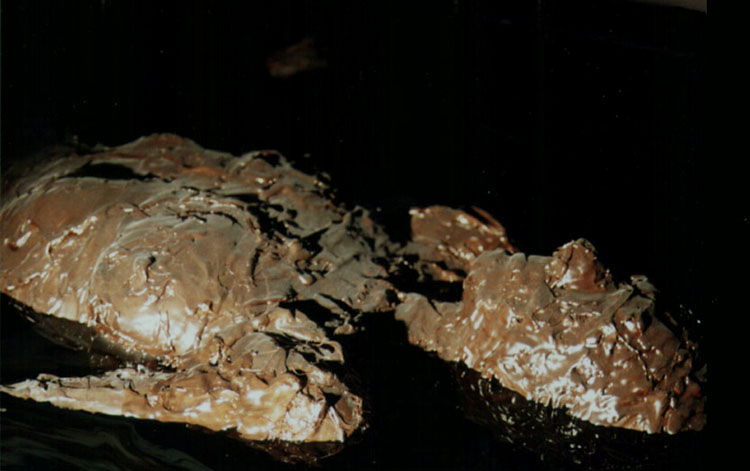 detail - cast of the author's body