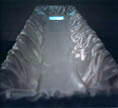 W(onderful) C(reatures)