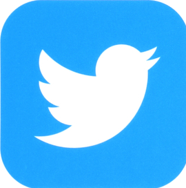 Twitter Icon
