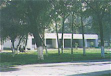Centro de Idiomas