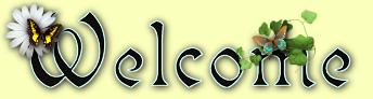 Welcome