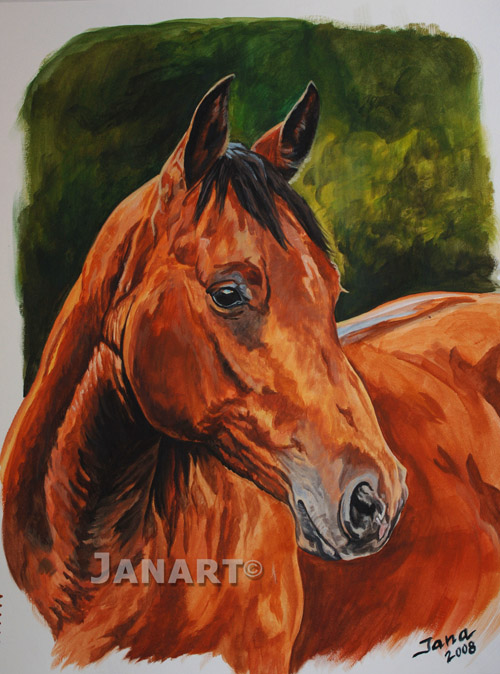 Pferde Bilder im Acryl gemalt