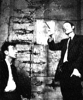 Watson and Crick discovered DNA
