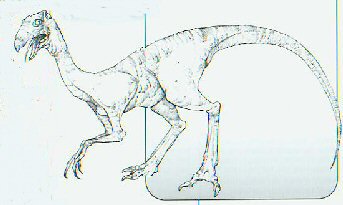 Alien Species Neek