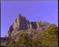 Puig Campana.